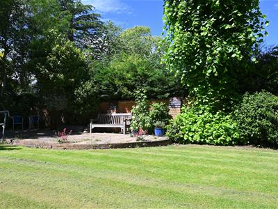 Picture 22
